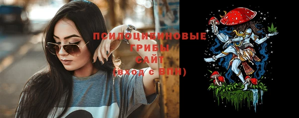 шишки Костерёво