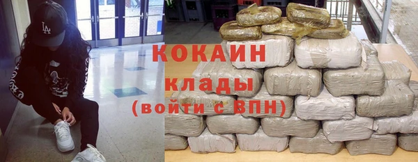 шишки Костерёво