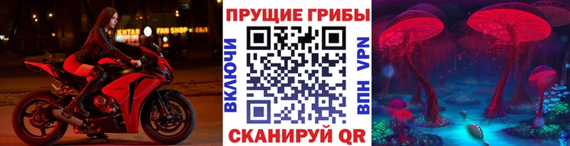 Галлюциногенные грибы MAGIC MUSHROOMS  Элиста 