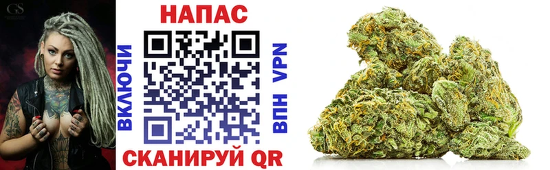 хочу наркоту  Элиста  Каннабис OG Kush 