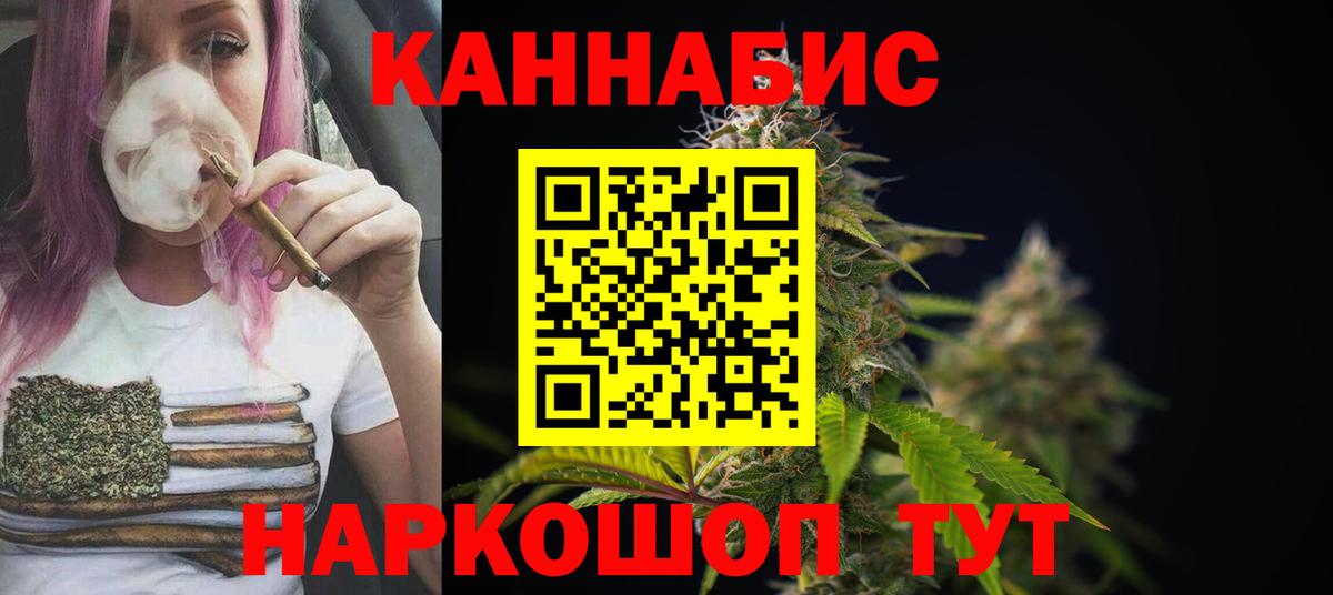 Бошки Шишки марихуана Элиста